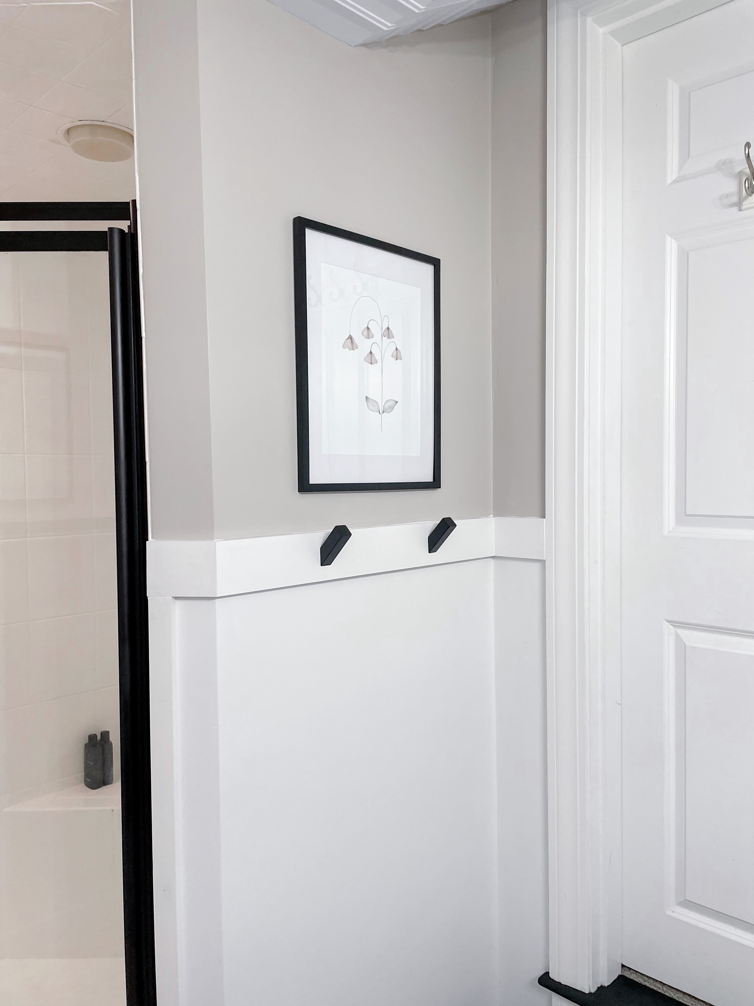 Towel peg hooks and picture